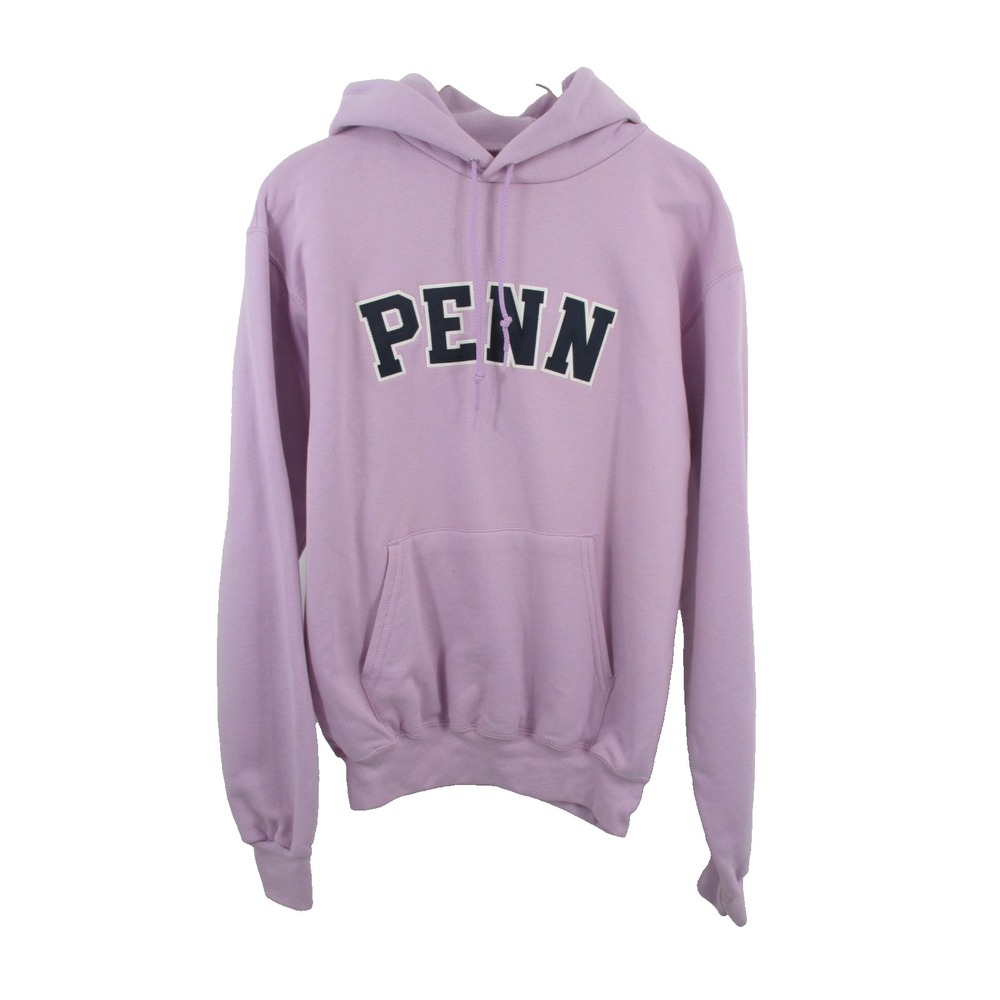 Champion Penn State University Hoodie Womens Small Pink Pullover CS2071